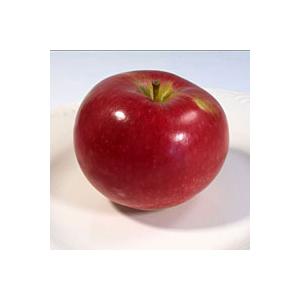 Macintosh Apple Image