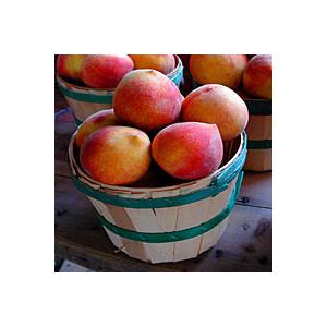 Georgia Peach Image